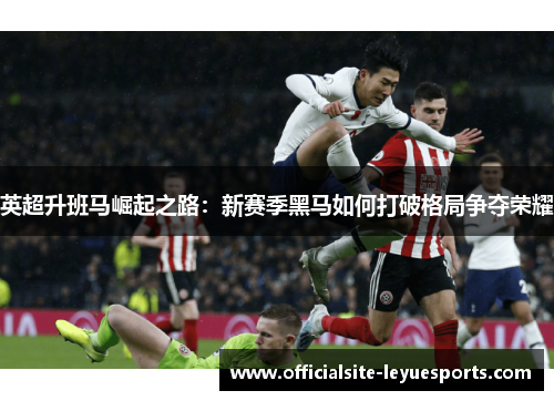 英超升班马崛起之路：新赛季黑马如何打破格局争夺荣耀