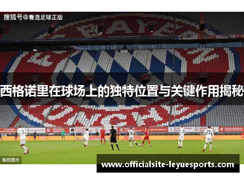 西格诺里在球场上的独特位置与关键作用揭秘