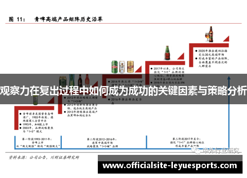 观察力在复出过程中如何成为成功的关键因素与策略分析