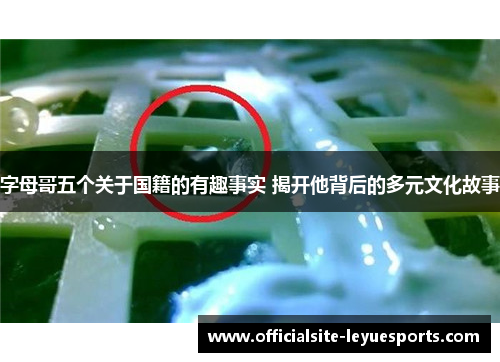 字母哥五个关于国籍的有趣事实 揭开他背后的多元文化故事 字母哥五个关于国籍的有趣事实 揭开他背后的多元文化故事