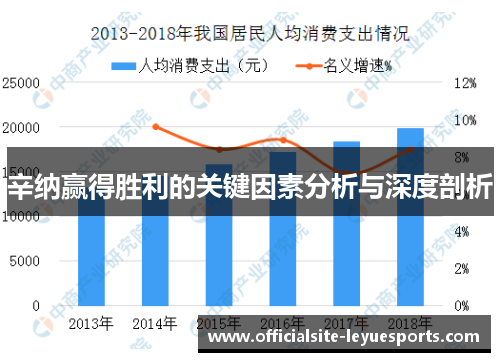 辛纳赢得胜利的关键因素分析与深度剖析