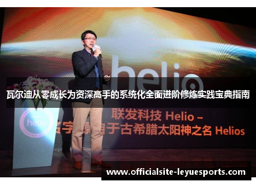 瓦尔迪从零成长为资深高手的系统化全面进阶修炼实践宝典指南