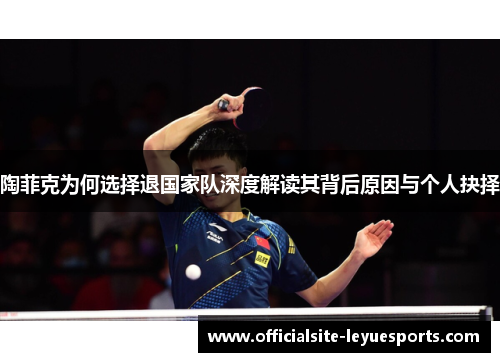 陶菲克为何选择退国家队深度解读其背后原因与个人抉择