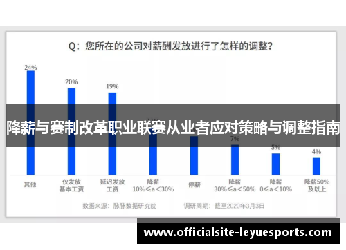 降薪与赛制改革职业联赛从业者应对策略与调整指南 降薪与赛制改革职业联赛从业者应对策略与调整指南
